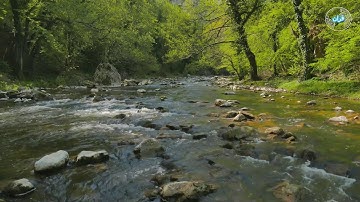 108- سورة الكوثر محمد جبريل  Surat al-Kawthar Muhammad Jibril