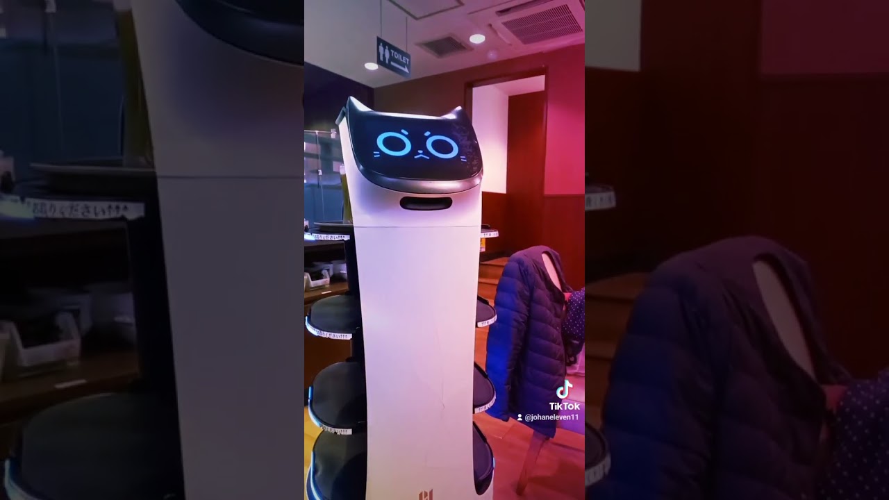 El robot de gato se enojó cuando lo intenté tocar 