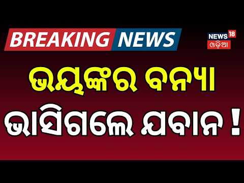 ଭାସିଗଲେ ଯବାନ! Sundargarh Tragedy: Ex-Serviceman Missing After Being Swept Away in Stream | FloodNews