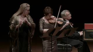 Telemann: Trio in A minor, TWV 42:a4, II. Vivace