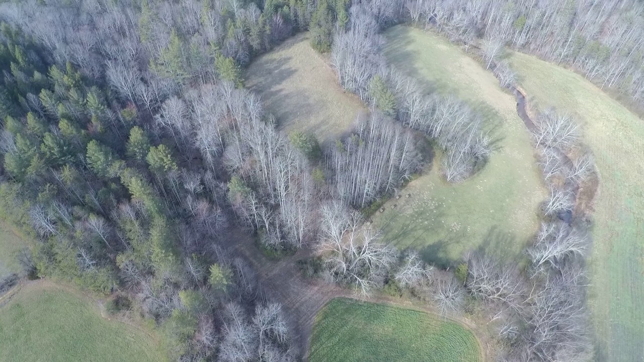 Kings Creek, NC _More Farm March 5, 2017 YouTube