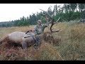 Tom Jensen First Archery Elk Hunt 2018