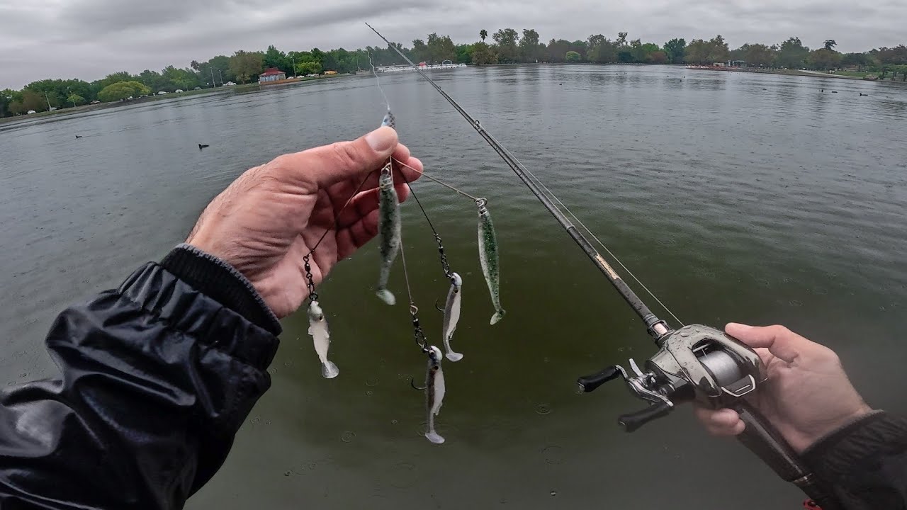 Fishing the Tactical Bassin Micro Flex Rig for AGGRESSIVE City Bass !
