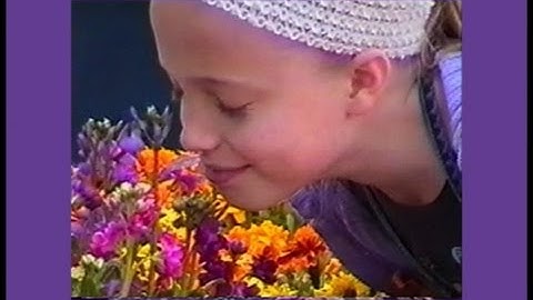 29 Global SEED: Course Conclusion & Retrospective Slides