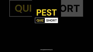 Which rodent is a better climber? A Rat or Mouse? - Pest Quiz