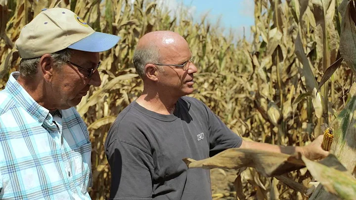 Indian Creek Project Farmer Perspective - John Traub
