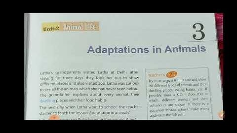 Class 4 | Chapter -3 | Adaptation in Animals | Part -1 | By - Zoya Ma