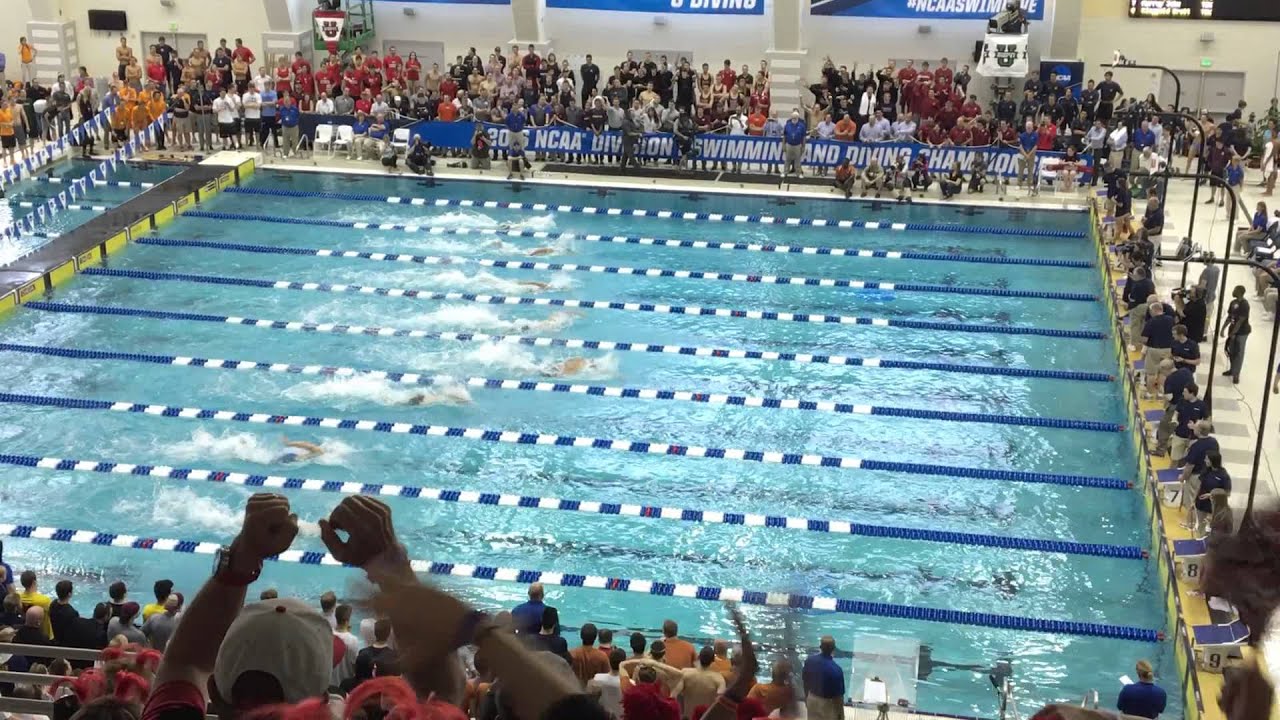 Florida's Caeleb Dressel goes 40.46 in the 100-Yard Freestyle ...