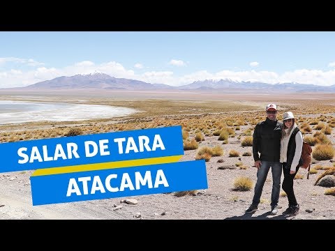 Salar de Tara, Deserto do Atacama | Chile
