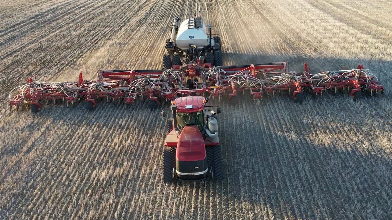 Dryland Winter Wheat Seed Filling Time In Motnana
