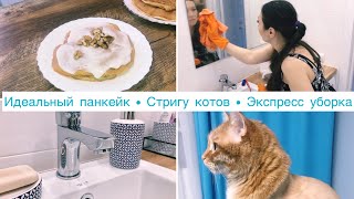 ПРОСТОЙ РЕЦЕПТ ПАНКЕЙКОВ🥞• МОИ ПРАВИЛА в стрижке котов🐈 • БЫСТРАЯ УБОРКА в ванной🛁 • Диана Р🦋