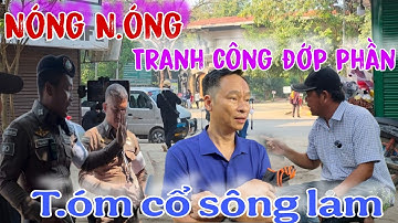 N.óng N.óng : Vô Thùng &N11 tranh công Đớp phần " t.óm c.ổ sông lam