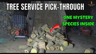 CUTTING AND SPLITTING THAT FIREWOOD FROM THE TREE SERVICE LOT
