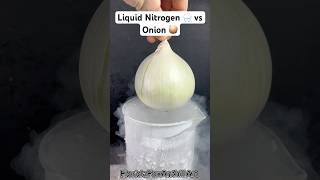 Liquid Nitrogen 🌧️ vs Onion 🧅 #science #satisfying #experiment #asmr