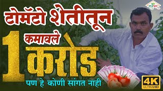 Tomato Farmer | Tomato Price #टोमॅटो_लागवड करून झाले करोडपती पण..