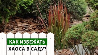 видео: Сажаем Императу Ред Барон без вреда для клумбы! Как сажать агрессивные злаки в саду? картинка: Сажаем Императу Ред Барон без вреда для клумбы! Как сажать агрессивные злаки в саду?