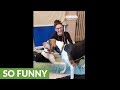 Jealous hound can't believe he's not the center of attention