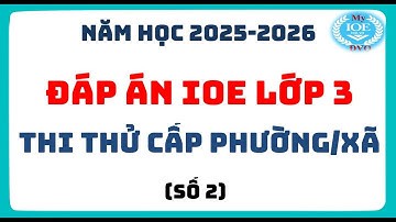 Đáp án IOE lớp 3 | Thi thử cấp Phường/Xã | Năm học 2025 - 2026 | Số 2