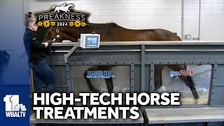 Vet details specialized treatment for equine athletes