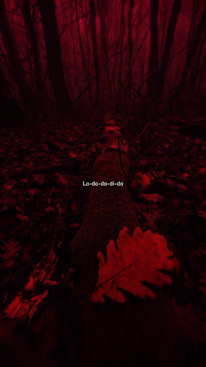 Darkside - neoni | aesthetic edit| lyrics| #neoni