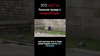 Реальная правда о Северной Корее