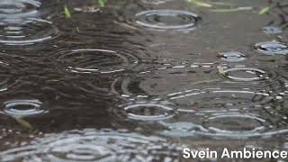 30 Minutes of Soft Rain Sounds for Better Sleep and Meditation by Svein Ambience 7 views 10 months ago 31 minutes