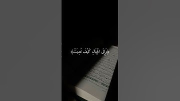 {أفلا ينظرون إلى الإبل كيف خلقت} [الغاشية:17]- عبدالرحمن مسعد - القرآن الكريم تحميل و استماع🎧🤍😔