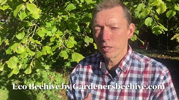 Why no queen excluder in ECO BEEHIVE’s?