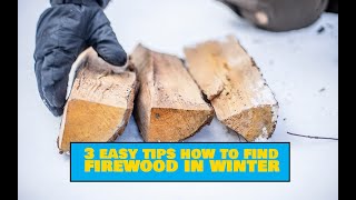 How to Find Firewood in Winter [ 3 Easy Outdoors Tips ]