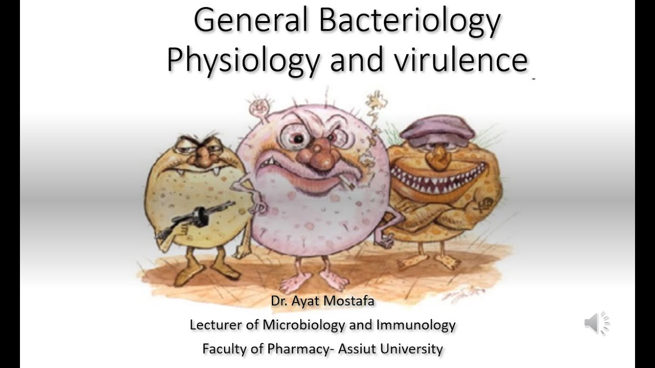 lecture 2 general bacteriology