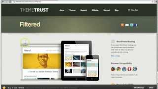 Meet Filtered, a Professional WordPress Portfolio Theme Profile