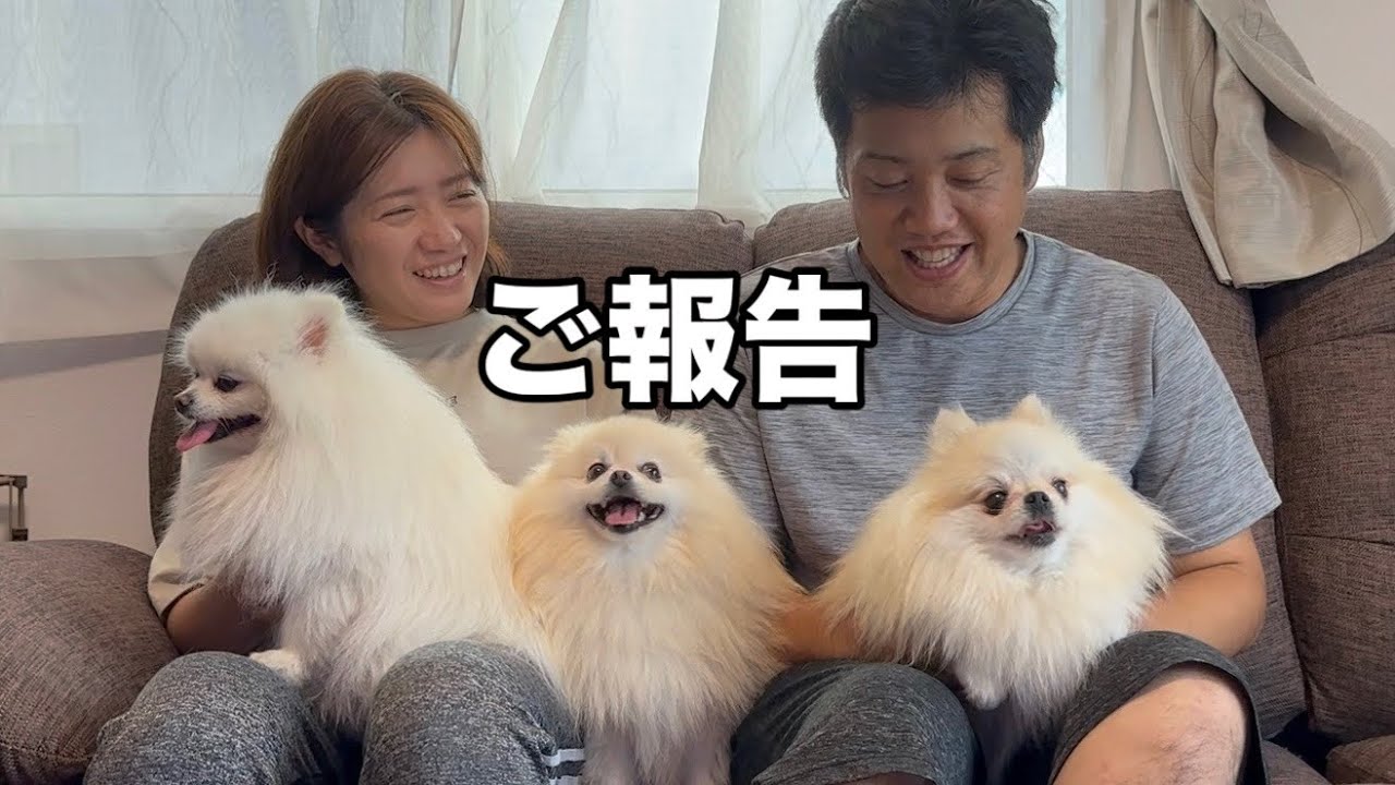 ご報告】次の3姉妹トラベルはこの県に決まりました - YouTube