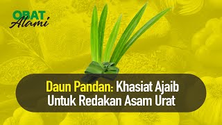 Download Lagu 1001 Manfaat dari Daun Pandan MP3