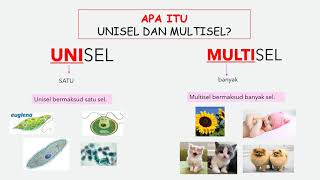 Sains itu mudah | Sains Tingkatan 1 BAB 2 organisma unisel dan multisel | KSSM/PT3