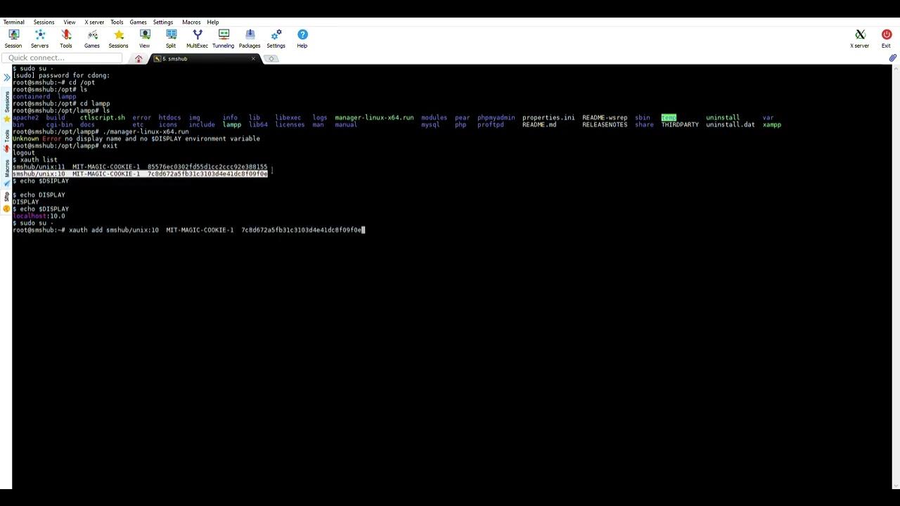 X11 forwarding in Ubuntu Term YouTube