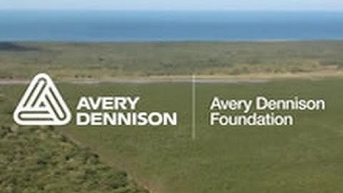 The Avery Dennison Foundation Story