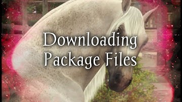 How To Download Sims 3 Package Files (More Details)