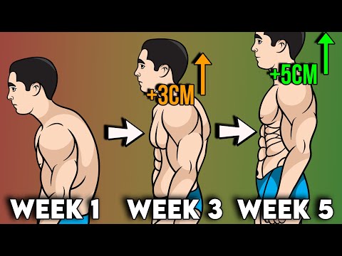 5 example of fitness workout