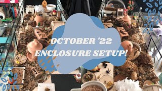 October 2022 Natural Hamster Enclosure Setup   | Sam & Hamhams