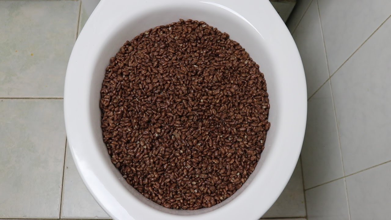 WILL IT FLUSH? COCO POPS