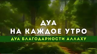 🎧❤🤲 Сильный дуа успеха в работе - дуа утром для успеха - дуа благодарности Аллаху ! НА КАЖДОЕ УТРО