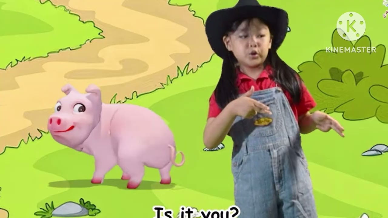 The Animal Sounds Song