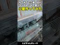 三相200V(動力)の5馬力コンプレッサーを買ったので小屋を作ってみた!#shorts