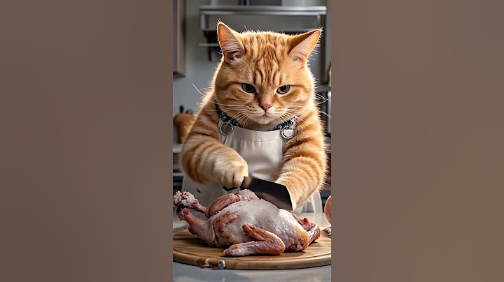 Chubby Orange Cat Cooks Chicken in the Cutest Way! #OrangeCat  #CookingCat #OrangeTabby #CatLovers