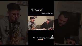 M-aș abona la inimă ta Saxofon -Vali Radu