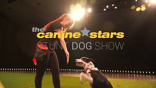 Chandler Center for the Arts Presents The Canine Stars Stunt Dog Show (February 21, 2026)