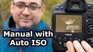 How to Use Manual Mode with Auto ISO for Wildlife Photography - It