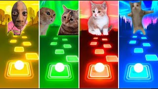 Tange vs Talking Cat vs Savage Cat vs Happy Cat/Tiles Hop EDM RUSH