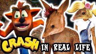 🎮 Crash Bandicoot's Creatures in Real Life! [Eng / Fr Sub]