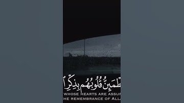 تلاوة خاشعة | ﴿………… قُلوبُهُم بِذِكرِ اللَّهِ أَلا بِذِكرِ اللَّهِ تَطمَئِنُّ القُلوبُ﴾ [الرعد: ٢٨]